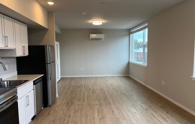 Studio, 1 bath, 474 sqft, $1,395, Unit 204