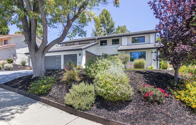 Hidden Jewel in Westlake Village