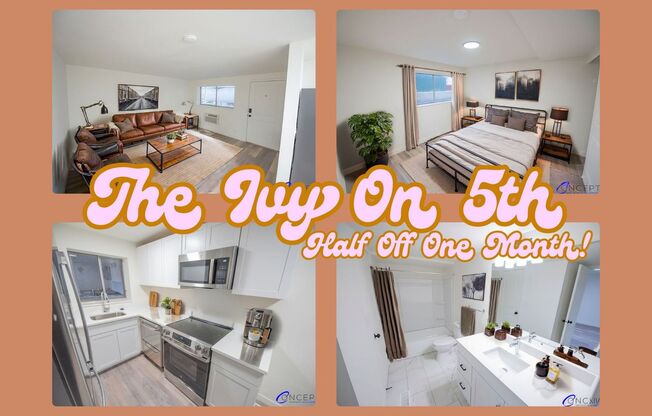 1 bed, 1 bath, 450 sqft, $1,125, Unit 02