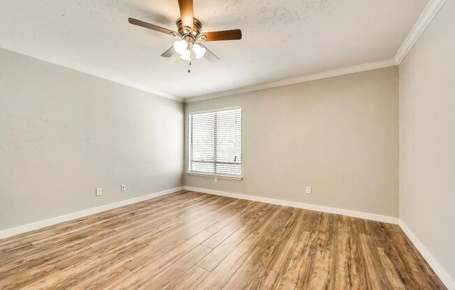 Modern One Bedroom Apartment in North Oak Lawn!