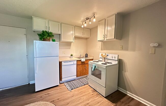 Boutique Apartments in Boulevard Park, Includes Gated, Covered Parking!