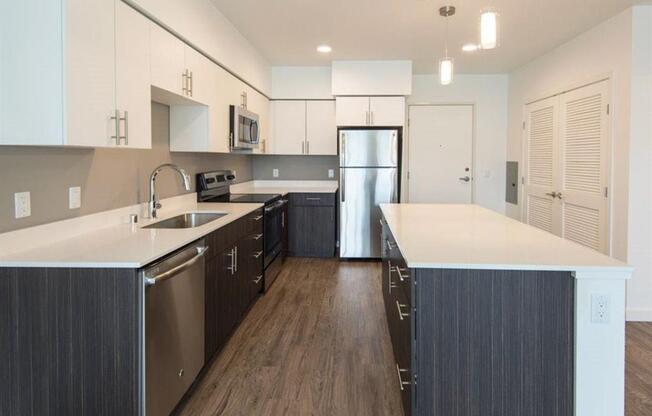 dark finishes in kitchen of unit