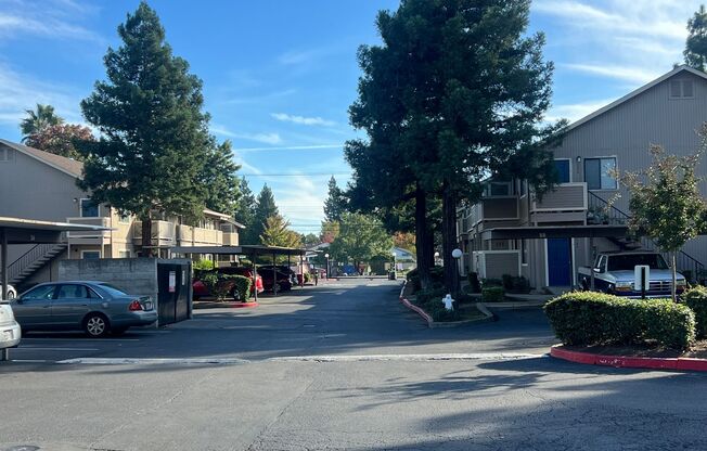 Spacious 1 and 2 Bedrooms, Gated, Pool & READY TO GO!