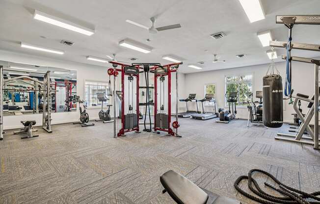 A gym with a variety of equipment including a squat rack, bench, and ropes.