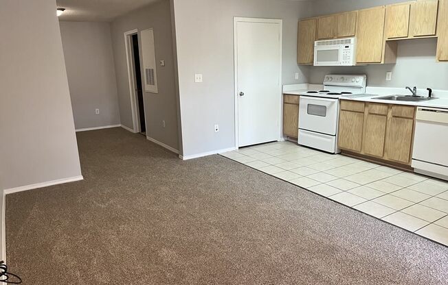 a view of a kitchen and a living room with a carpet