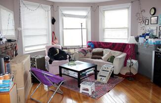 1 bed, 1 bath, $2,900, Unit 51