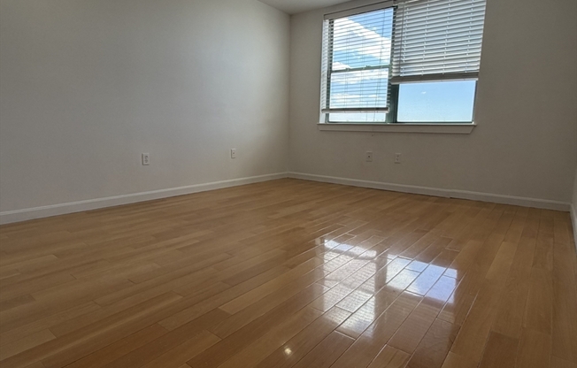 1 bed, 1 bath, 645 sqft, $2,000, Unit 516