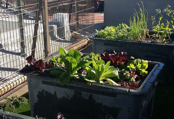 1 bed, 1 bath, $1,625, Unit 404