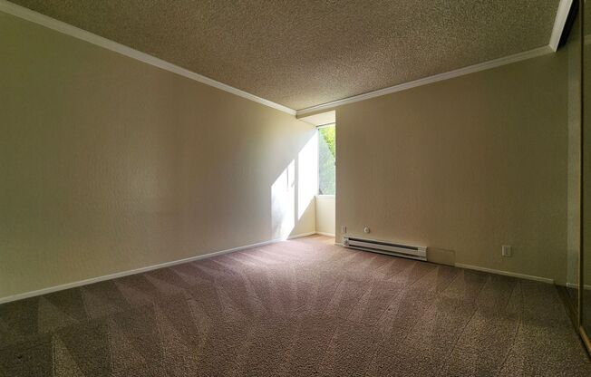 1 bed, 1 bath, $2,500