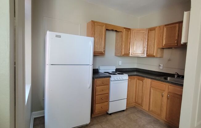 1 bed, 1 bath, 455 sqft, $725, Unit 101