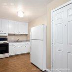 1 bed, 1 bath, 500 sqft, $1,175