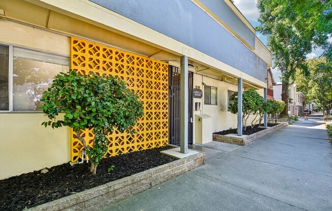 Camellia Manor Apartments