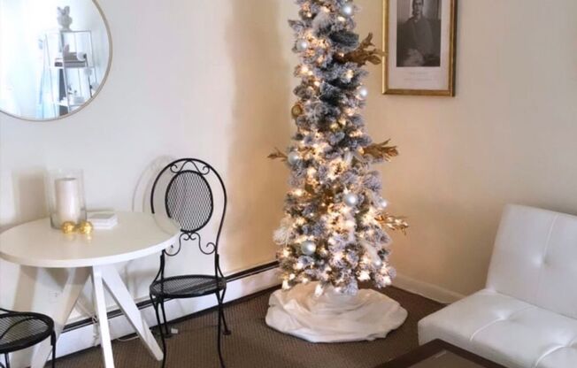 Studio, 1 bath, 400 sqft, $1,425, Unit 421-#401