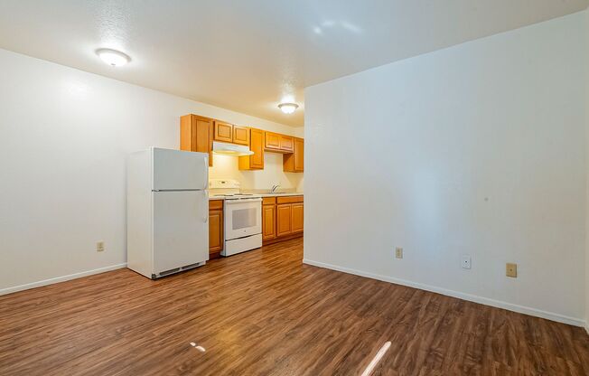 1 bed, 1 bath, 420 sqft, $1,000, Unit 1