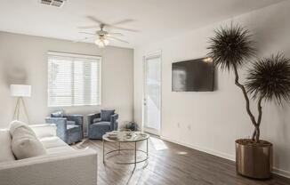 a living room with a couch and a tv