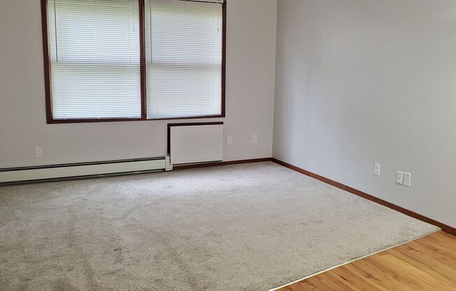 1 bed, 1 bath, $800, Unit Apt. 104