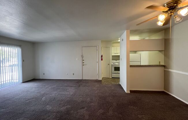 1 bed, 1 bath, 660 sqft, $1,000, Unit 202