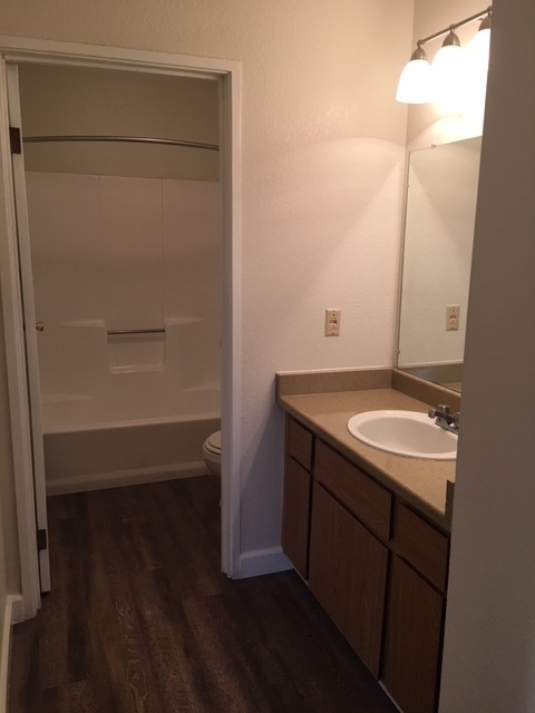 Studio, 1 bath, 600 sqft, $1,060, Unit 204