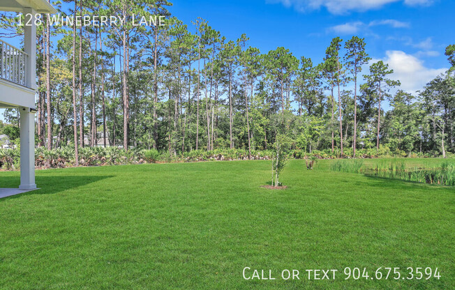 128 WINEBERRY LN