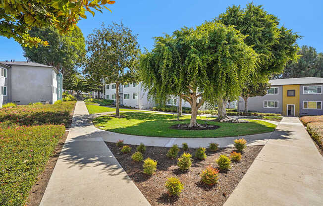 A tree-lined walkway leads to a building with a yellow door.
