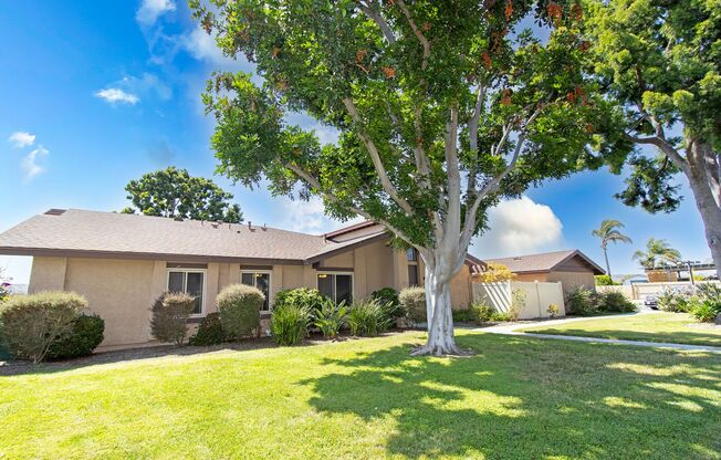 Newly Renovated 4 Bedroom In Oceanside!