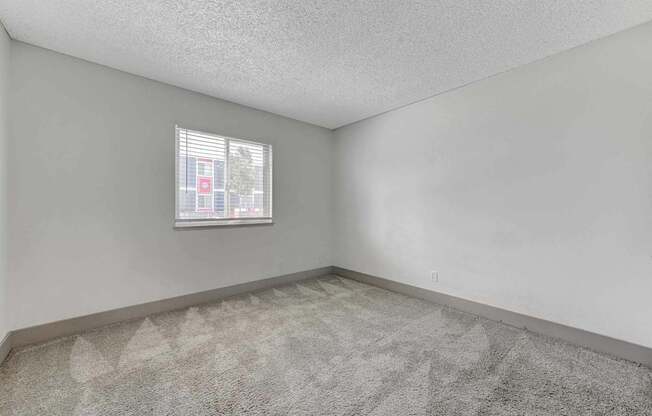 A room with a carpeted floor and a window showing a street view.