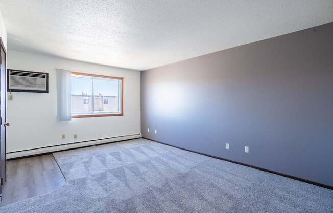 A room with a carpeted floor and a window.