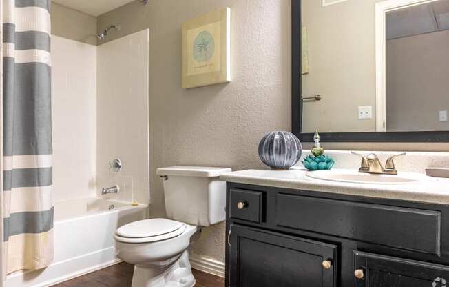 a bathroom with a toilet and a sink and a mirror