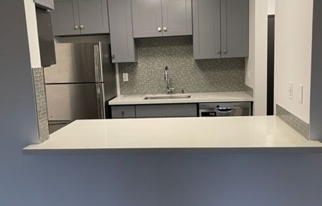 Cohanim Renaissance on The University Ave!