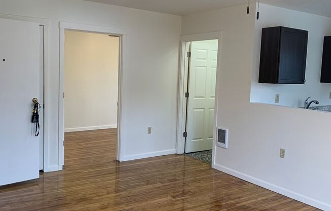 1 bed, 1 bath, $1,175