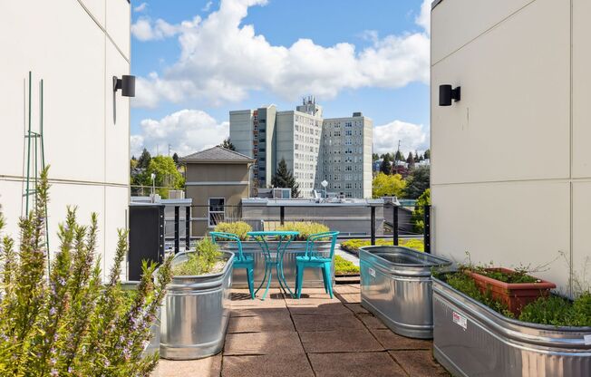 Studio, 1 bath, 380 sqft, $1,695, Unit 215