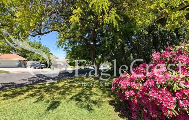 3 Bedroom 2 Bathroom Single Family Home With Great Outdoor Space!!