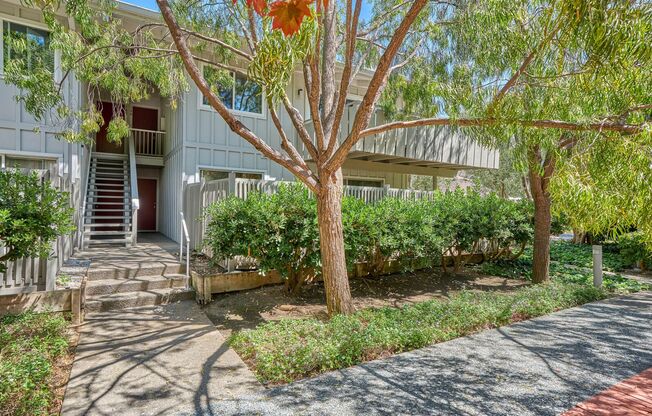 Fantastic Townhome in Mountain View
