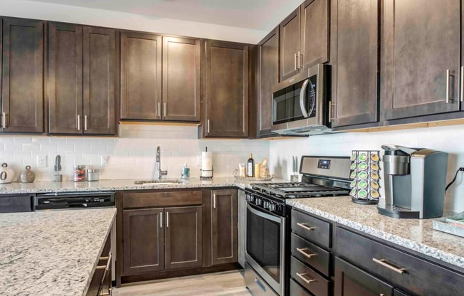 Large 2BR Kitchen- Close Up