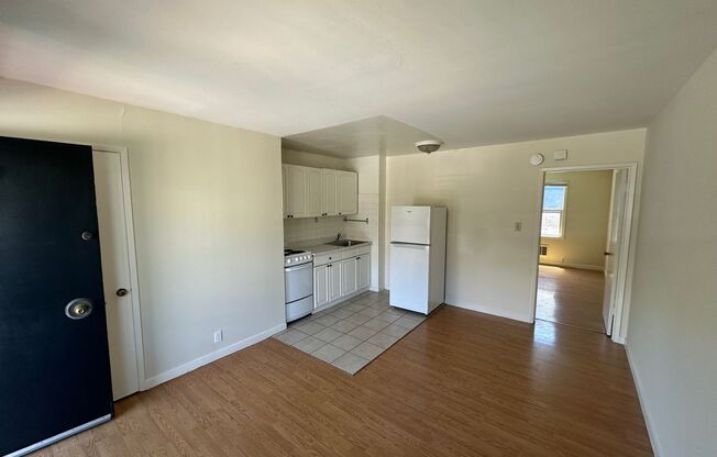 029 (2199 Turk)