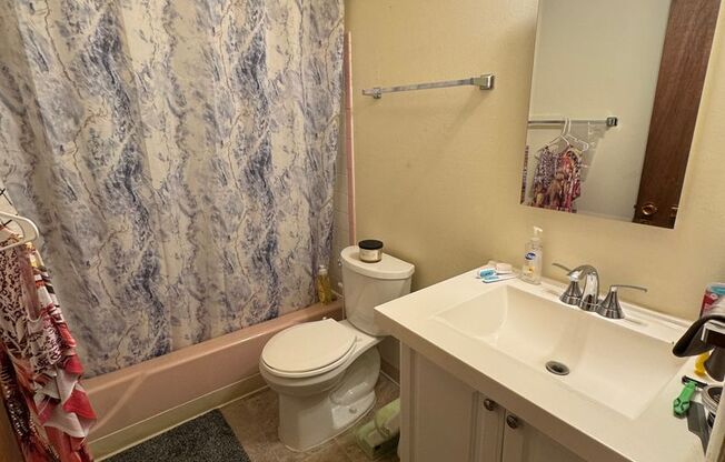Updated 3-bedroom 1 bathroom in Littleton!