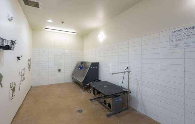 Indoor dog grooming area
