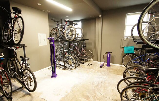 Studio, 1 bath, 392 sqft, $1,350, Unit 1D