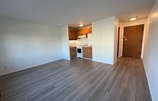 Studio, 1 bath, 348 sqft, $1,275, Unit 406