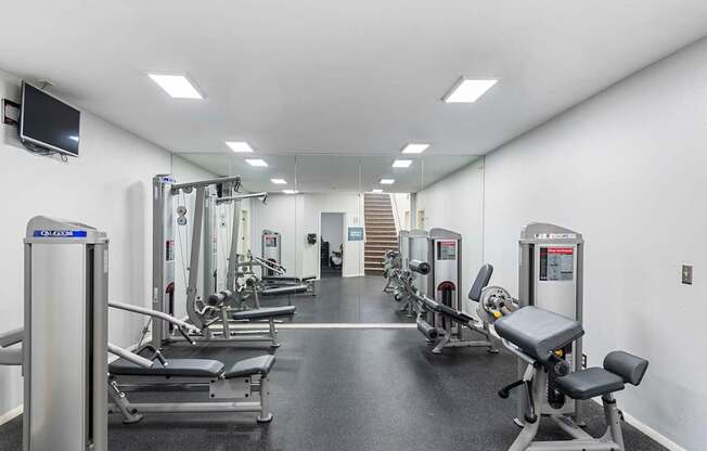 a gym with cardio equipment and weights on the floor