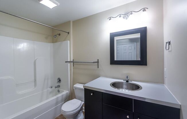 Studio, 1 bath, 519 sqft, $1,334, Unit 315