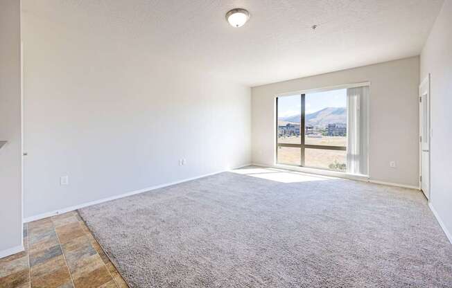 A spacious room with a large rug and a view of the outdoors through a sliding glass door.