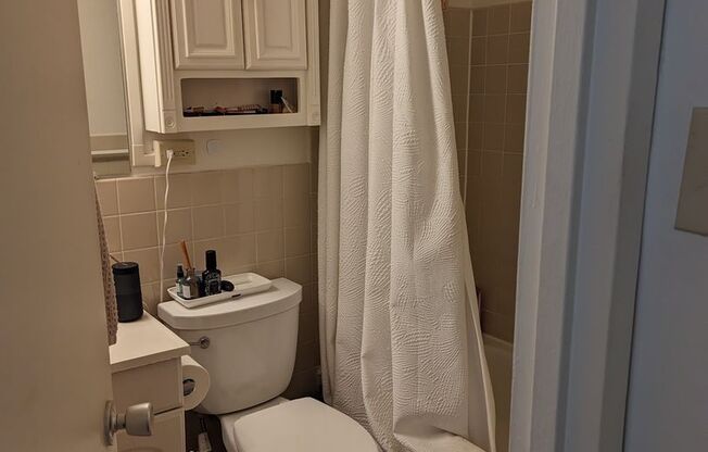 1 bed, 1 bath, 570 sqft, $3,000, Unit 1707