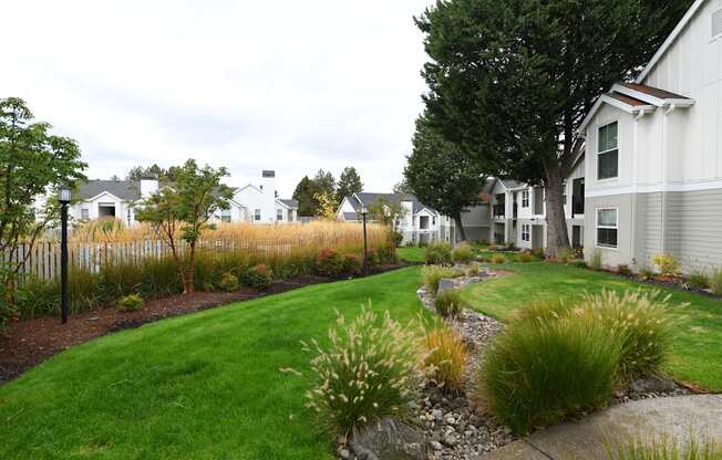 a front yard with a lawn and a row of houses