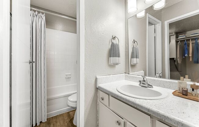 a bathroom with a sink and a shower and a mirror