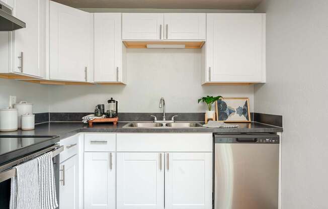 Pacific Village | Kitchen