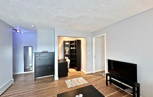 Furnished Cozy 1 Bedroom / 1 Bath Condo - Utilities Included