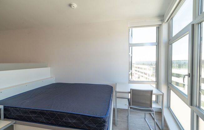 Studio, 1 bath, 370 sqft, $1,448, Unit 702B (Shared Male)