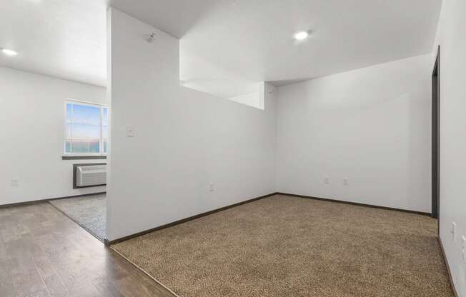 A room with a brown carpet and a window.