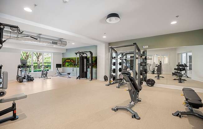A spacious gym with a variety of equipment.